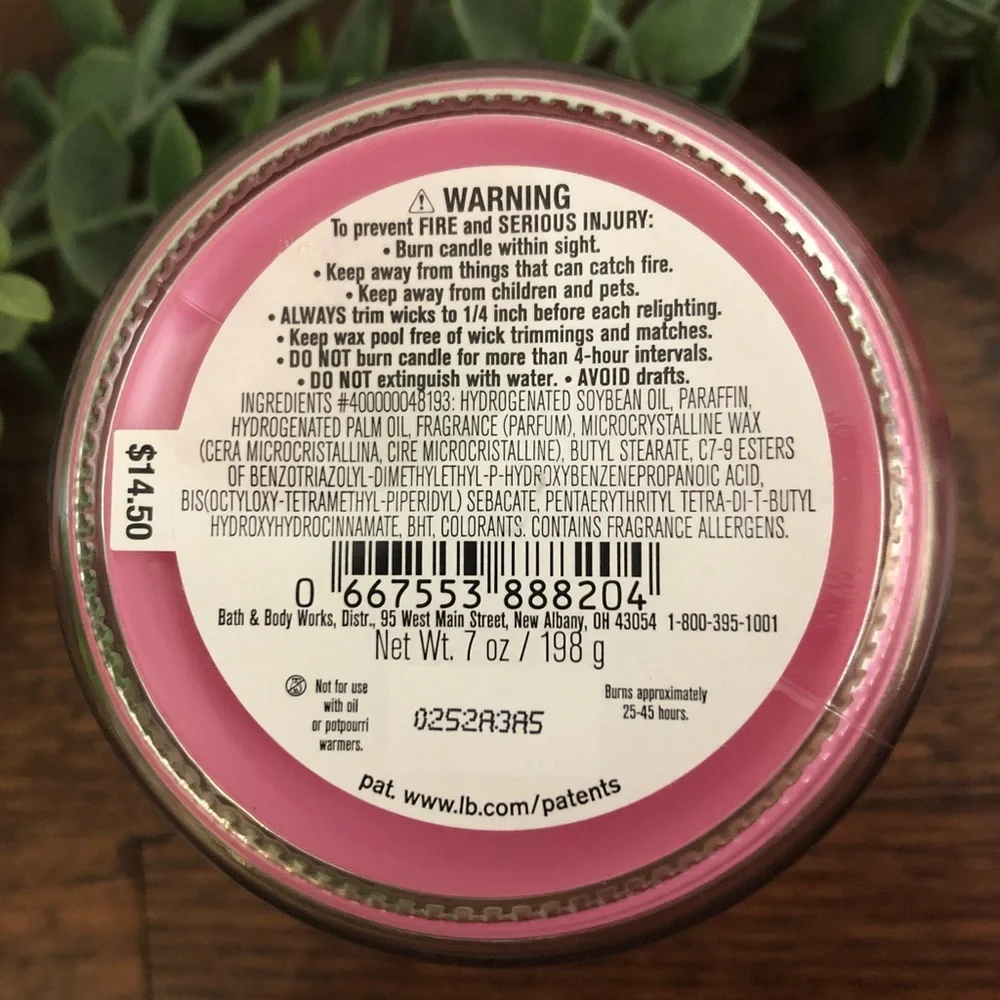 Bath & Body Works - Crushed Candy Cane Candle - 7 oz